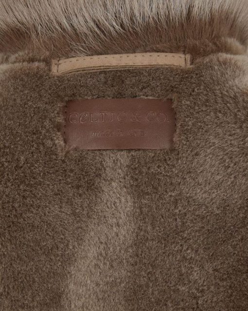 Trendroar.shopbdee5f185a 8