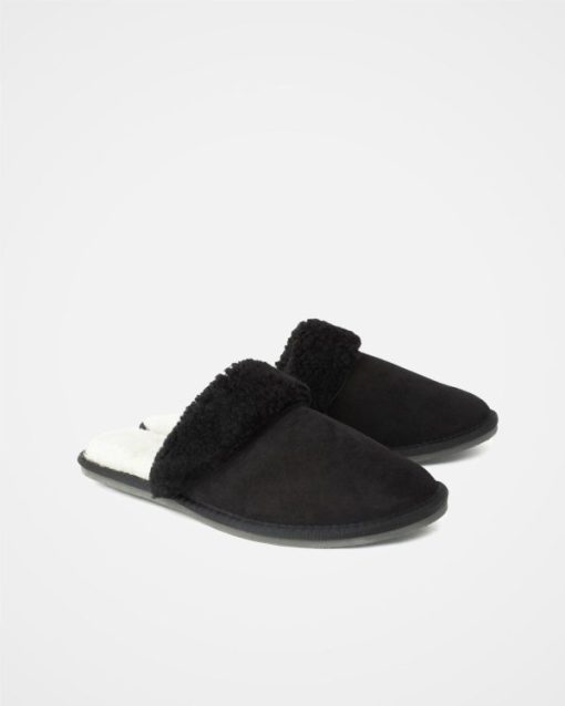 Trendroar.shopc089724323 2