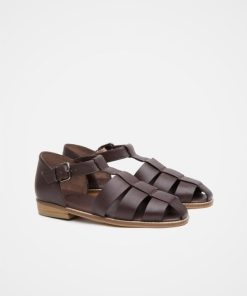 Trendroar.shopc3b35eb5f7 2