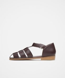 Trendroar.shopc3b35eb5f7 3