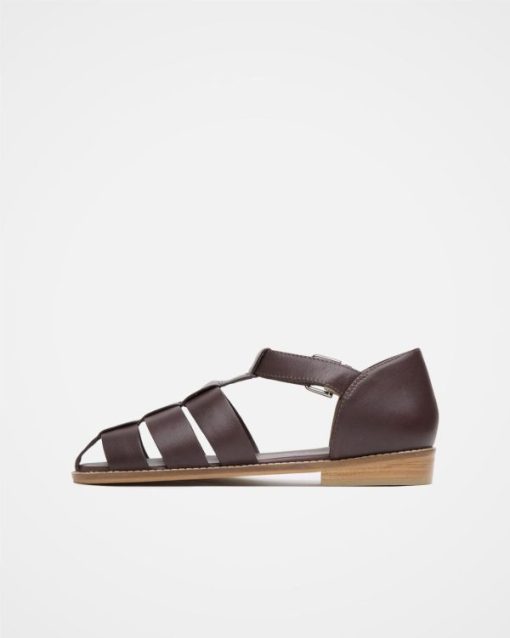 Trendroar.shopc3b35eb5f7 3