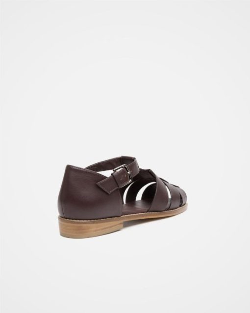 Trendroar.shopc3b35eb5f7 4
