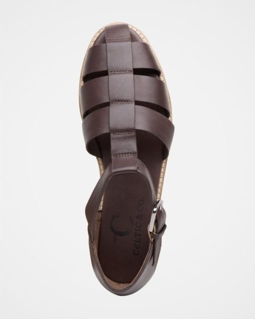 Trendroar.shopc3b35eb5f7 5