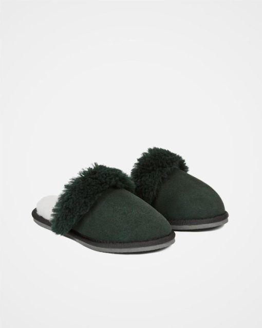 Trendroar.shopc3fbd533e9 2