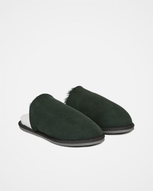 Trendroar.shopc3fbd533e9 3
