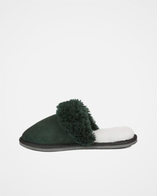 Trendroar.shopc3fbd533e9 5