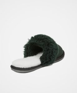 Trendroar.shopc3fbd533e9 6