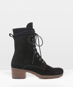 Trendroar.shopc667e3d80c 1