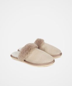 Trendroar.shopc8adc487b9 2
