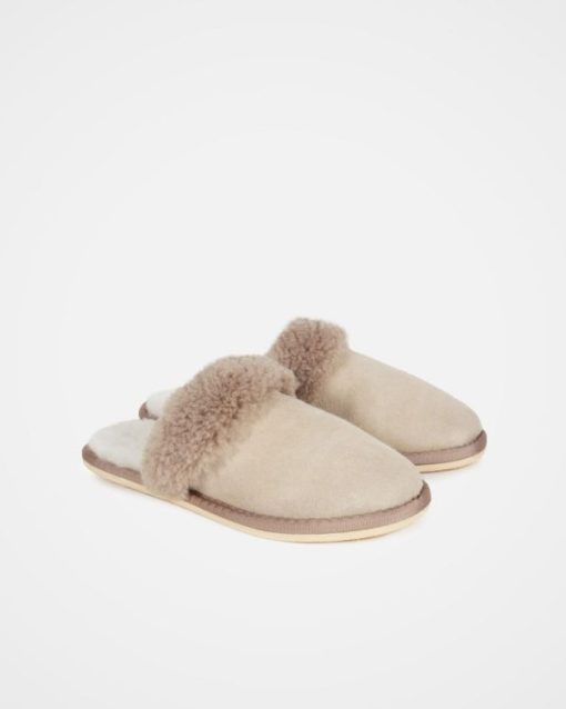 Trendroar.shopc8adc487b9 2