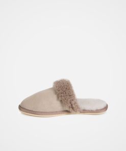 Trendroar.shopc8adc487b9 4