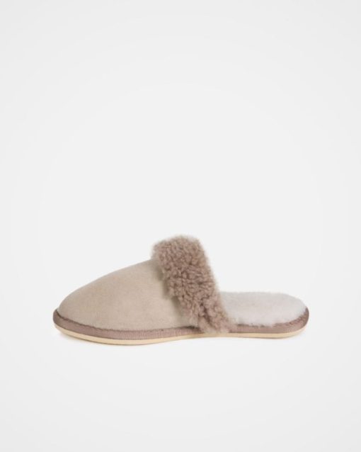 Trendroar.shopc8adc487b9 4