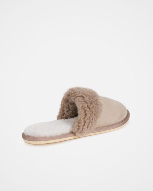 Trendroar.shopc8adc487b9 5