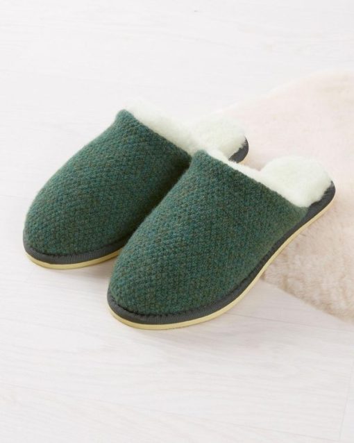 Trendroar.shopcb32238ebf 1