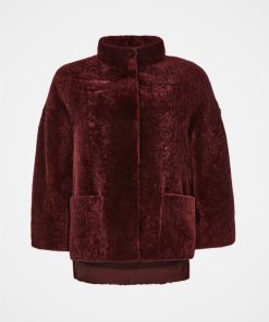 Trendroar.shopccd63eb574 4