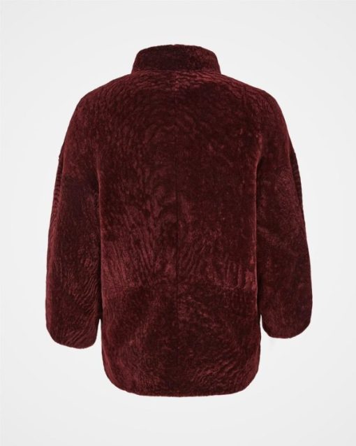 Trendroar.shopccd63eb574 5