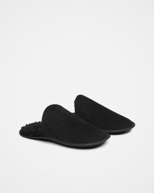 Trendroar.shopccf9b06f40 2