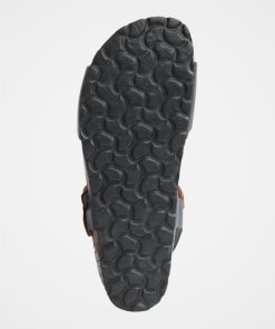 Trendroar.shopcec19bba67 8