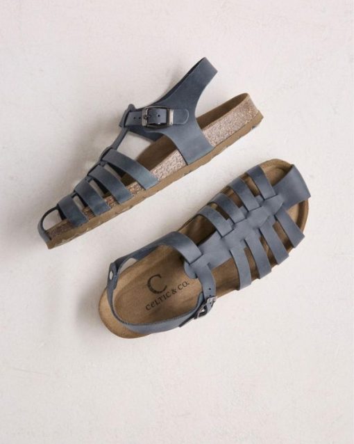 Trendroar.shopd1e22ec422 1