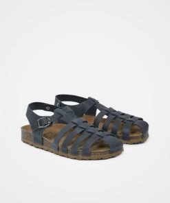 Trendroar.shopd1e22ec422 2