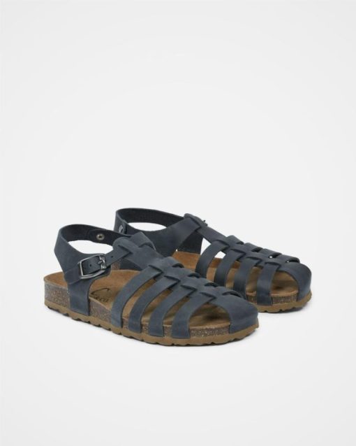 Trendroar.shopd1e22ec422 2