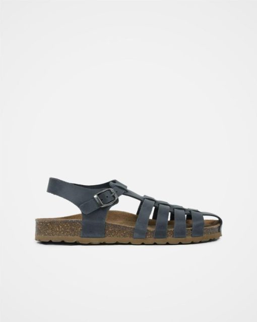 Trendroar.shopd1e22ec422 3