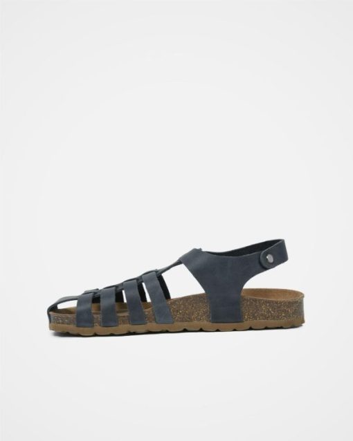 Trendroar.shopd1e22ec422 4