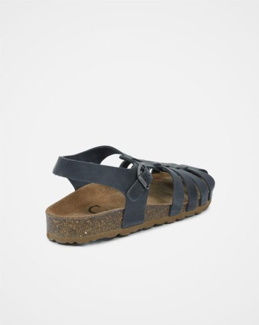 Trendroar.shopd1e22ec422 5