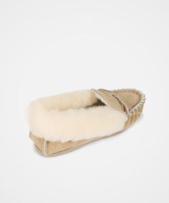 Trendroar.shopd5d5bf2779 5