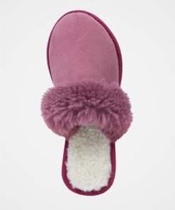 Trendroar.shopd70df779c1 1