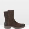 Trendroar.shopd8215c0d34 1
