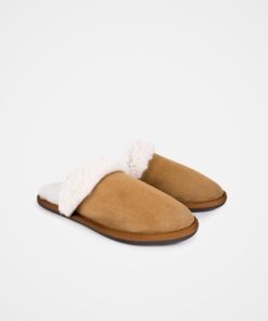Trendroar.shopd8e96ed881 2