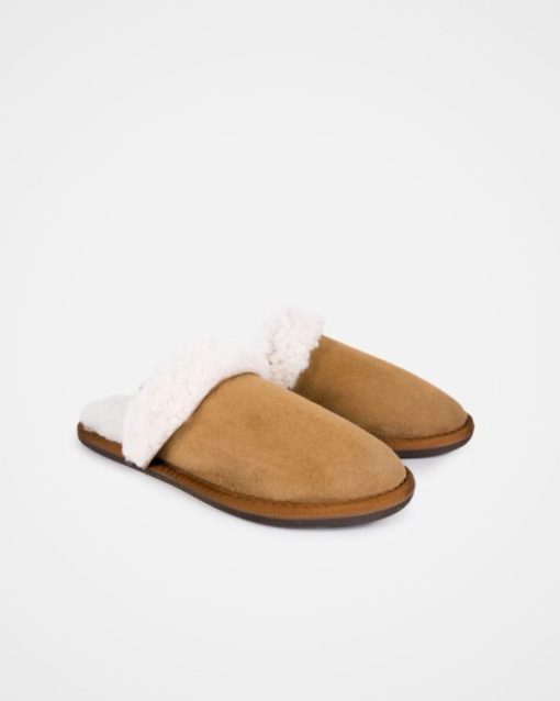 Trendroar.shopd8e96ed881 2