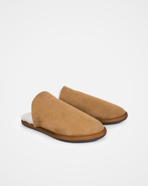 Trendroar.shopd8e96ed881 3