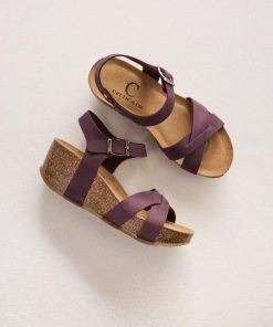 Trendroar.shopdb6af1022b 1