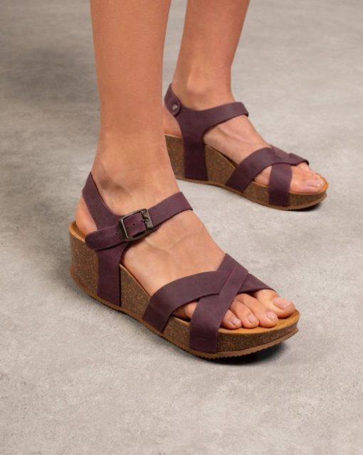 Trendroar.shopdb6af1022b 2