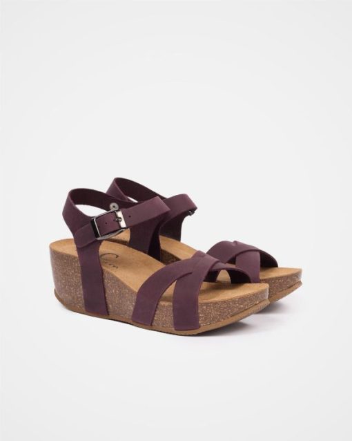 Trendroar.shopdb6af1022b 3
