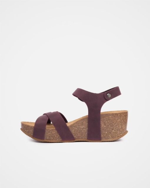 Trendroar.shopdb6af1022b 5