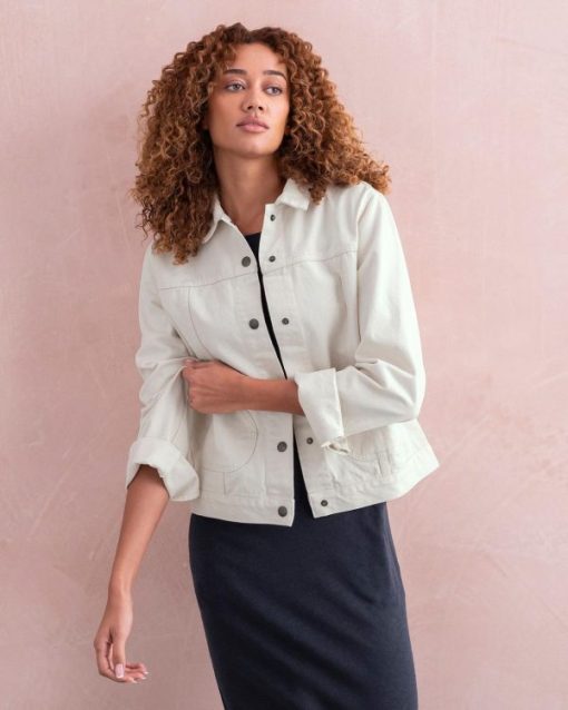 Trendroar.shopddb514d31e 1