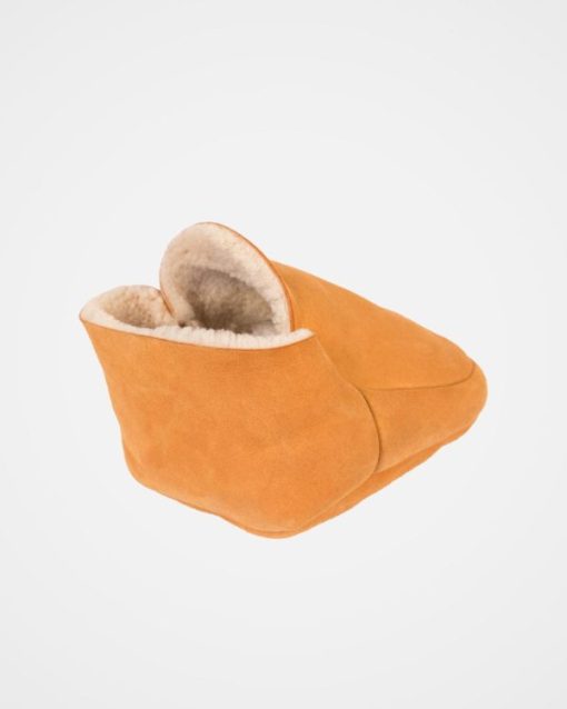 Trendroar.shope378005b15 3