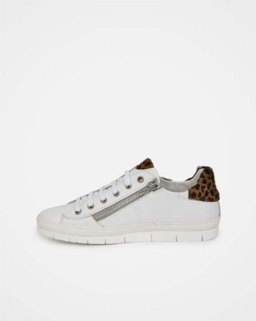 Trendroar.shope3c15deba3 4