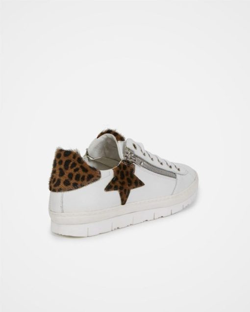 Trendroar.shope3c15deba3 5