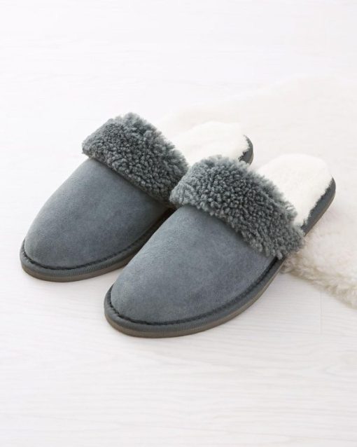 Trendroar.shope4f4f3be62 1