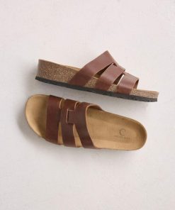 Trendroar.shope912934c17 1