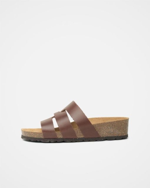 Trendroar.shope912934c17 4