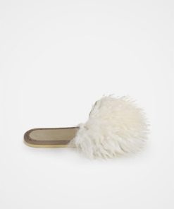 Trendroar.shope97e5ed135 3
