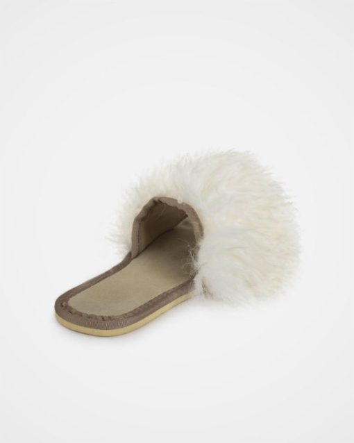 Trendroar.shope97e5ed135 5