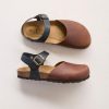 Trendroar.shopefa37ddeae 1