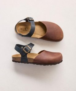 Trendroar.shopefa37ddeae 1