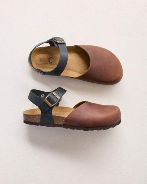 Trendroar.shopefa37ddeae 1